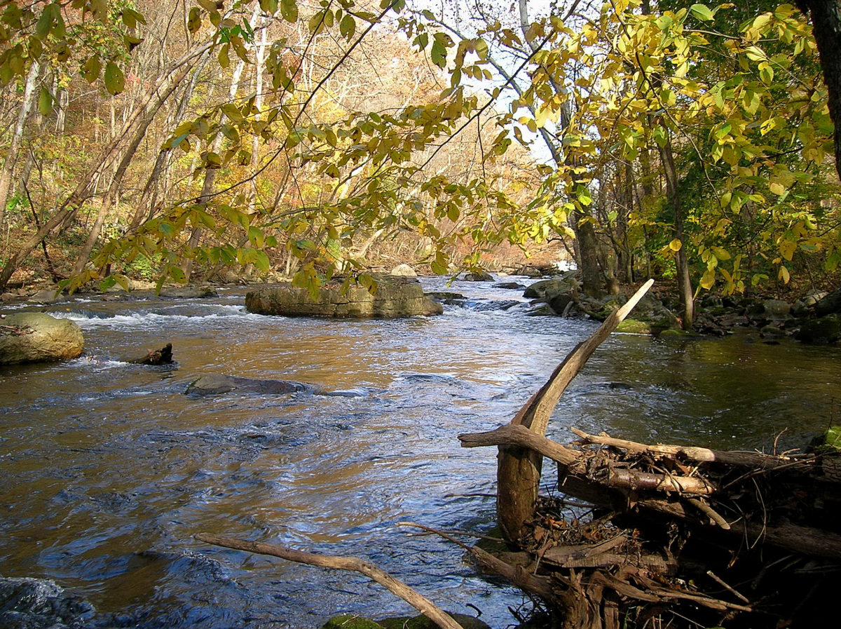 Trout Scapes River Restoration LLC