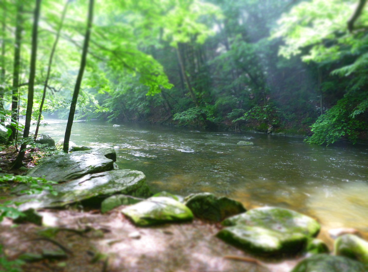 Trout Scapes River Restoration LLC