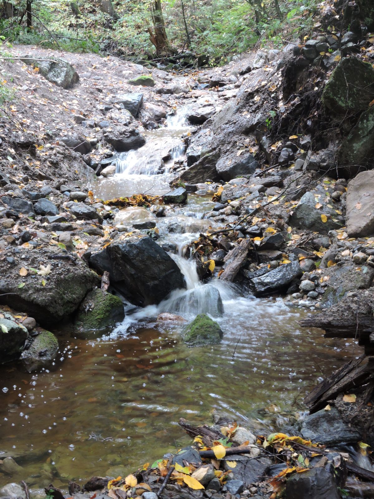 Culvert Removed for Native Brook Trout in Connecticut